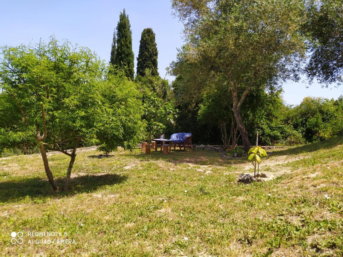 Corfu Villa Galini Potamós Exteriér fotografie
